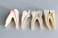 Dental Biomaterials and Oral Care Products